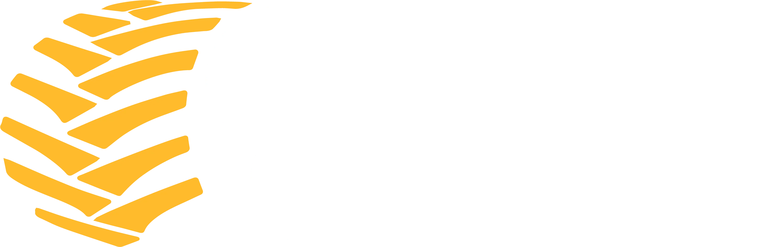 Cabgear